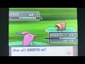 Pokémon Platinum In The Morning/Afternoon: Gorebyss Gameplay (Lake Version)