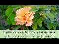 Surah Mulk ( Al Mulk ) with Urdu translation | Beautiful Quran | Quran with Urdu-Hindi Translation