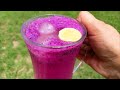 Jamun Mojito Summer Special Drink By cooking with Salva