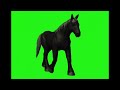 Green screen black horse animal no move animation for cartoon video.