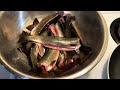 Ice Fishing for Brookies. Catch and Cook