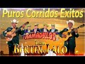 Dueto Bertin y Lalo - Dueto Los Armadillos - Mix Para Pistear - Puros Corridos Exitos 2023
