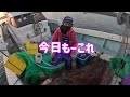 神崎の海で驚きの大物登場！魚の種類が豊富に！