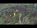 Oregon Coast Rescue at Hug Point