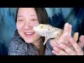 Reading Poetry with my Lizard for World Poetry Day - Emi Schaubeck