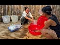 Pao and Sua enjoyed mountain snails for the first time, super delicious - harvested bamboo shoots