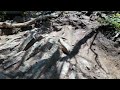 🇺🇸 [4K] Seneca Rocks Overlook Trail / Most Amazing Hike In West Virginia.