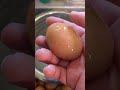 How to tell if your egg is good or bad