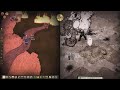 Don't Starve Together Armored Bearger VS. Dragon Fly