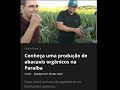 Globo Rural mostra a produção de Abacaxi Orgânico na Paraíba