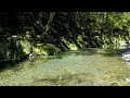 【自然の音風景】 浅瀬のかわも / Nature Sounds – The Shallow Water Surface of the River