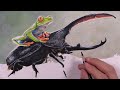 Frog & Beetle Colored Pencil Timelapse // Art Club Project