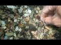 how to find gold spots in rivers if you use this manual method | traditional gold mining ⛏️⚒️