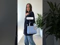 Comparing Lady Dior Sizes