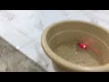 Video of robo fish swimming