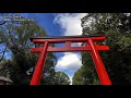 🇯🇵4K 京都の紅葉名所30選 30 Best Autumn Leaves Spots in Kyoto Japan 清水寺 嵐山 永観堂 東福寺 瑠璃光院  建仁寺 観光 旅行 秋 ライトアップ