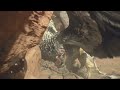 Dragon's Dogma 2: killed a griffin
