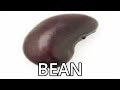 BEAN