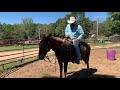 Serious talk about MULES , MULE TRAINING, mule selection , clinics and more