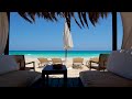 Tropical Beach Jazz Cafe Ambience | Smooth Bossa Nova and Wave Sounds for Relaxation