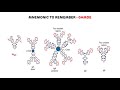 Structure And Functions of Immunoglobulins with MNEUMONIC || Immunoglobulin (Ig)