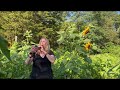 Groovy Soul Flute & Sunflowers - Robyn Bellospirito