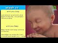 pregnancy week by week I foetus development I Week by week pregnancy I foetus development in womb I