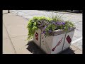 Quincy, IL: Wandering Walks of Wonder Slow TV Walking Tour 4K