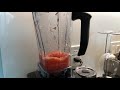 Whole Grapefruit in Blender