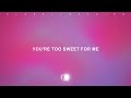 Hozier - Too Sweet (Lyrics)