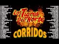 Puros Corridos Pesados De Tigres Del Norte 🔥 Los Tigres Del Norte Corridos Prohibidos Album Completo