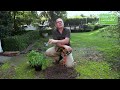 Power Planters - The Correct Way To Use Them - Full Instruction Video