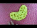 slime review p.t2 #likeandsubscribe #moocute #slime #part2 #asmr #shorts