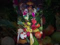 వినాయకా విఘ్నేశ్వరా - Vinayaka Vighneswara