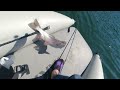 Fishing big Rainbow Trout with ultralight set up! Big fight! Okuma Celilo 6'6