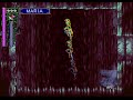 Castlevania Symphony of the Night (Maria) All Bosses (No Damage)