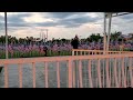 Memorial Day Field of Honor Veteran's Memorial Wall Laishley Park, Punta Gorda, FL #shorts