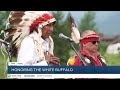 Tribes honor birth of a rare white buffalo calf in Yellowstone National Park