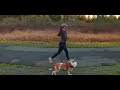 Running with her dog filmed by a drone