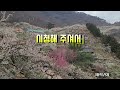 비겁한 맹세/이형무(원곡 배호)★Aegisub 가사자막★