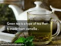 Advantages and Disadvantages of Green Tea