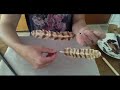 tuto plume en papier wafer (french)