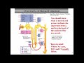 Bio102H Lec16 Part1