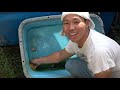 How to clean a huge plastic boat that keeps a lot of turtles in the garden