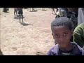 Selling Cattle in Ethiopia