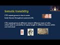 Myotonic Dystrophy Type 1: Disease Development & Symptom Management - 2023 MDF Annual Conference