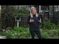 Late April Garden Walk: Tips and Tricks | Frost damage | Perennials | Deadheading Tulips |