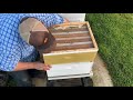 When to put a honey super on | #beekeeping | #honey