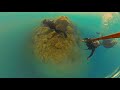 Diving in Gran Canaria