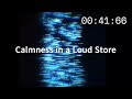 Calmness in a Loud Store - The Tube